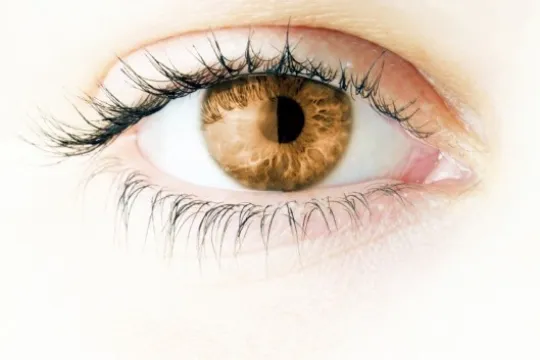 Eyeling Dark Brown natural colored contact lenses without pupil hole