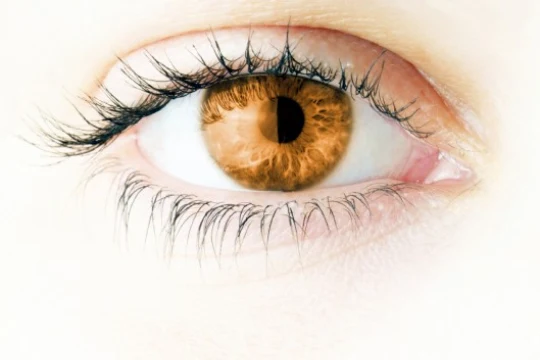 Eyeling Light Brown colored contact lenses